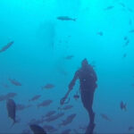 Under the sea in PCB