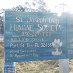 Runners in Port St. Joe support the Humane Society with 5K fundraiser