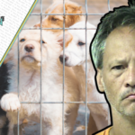 Surveillance Video and Public Tips Help Expose PAWS Donation Theft