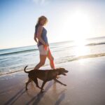 Bring the Pets and leave the Worries