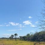 Florida man murdered, dismembered man because he was a sex offender: court docs